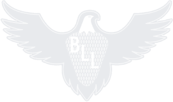 Box Lacrosse League